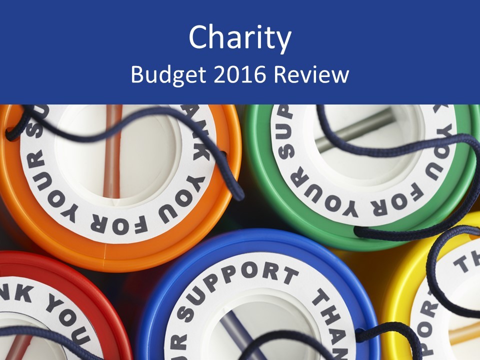 Charity 2016 Budget review