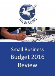 Small Business Budget review