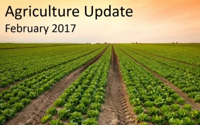 Agriculture update for UK farmers – February 2017
