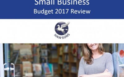 Small business 2017 Budget review and analysis for SMEs