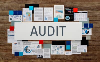 What is an Audit?
