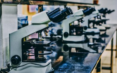 Questionable R&D Claims Causing Hidden Issues