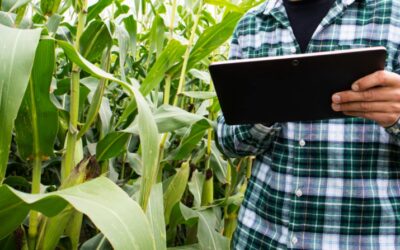 Policy uncertainty restricting investment in agriculture tech