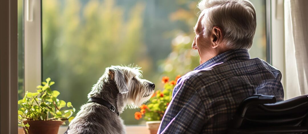 pensions