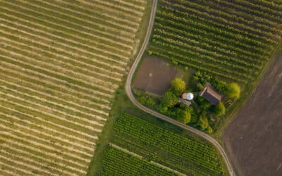 Agricultural Property Relief – Changes Ahead