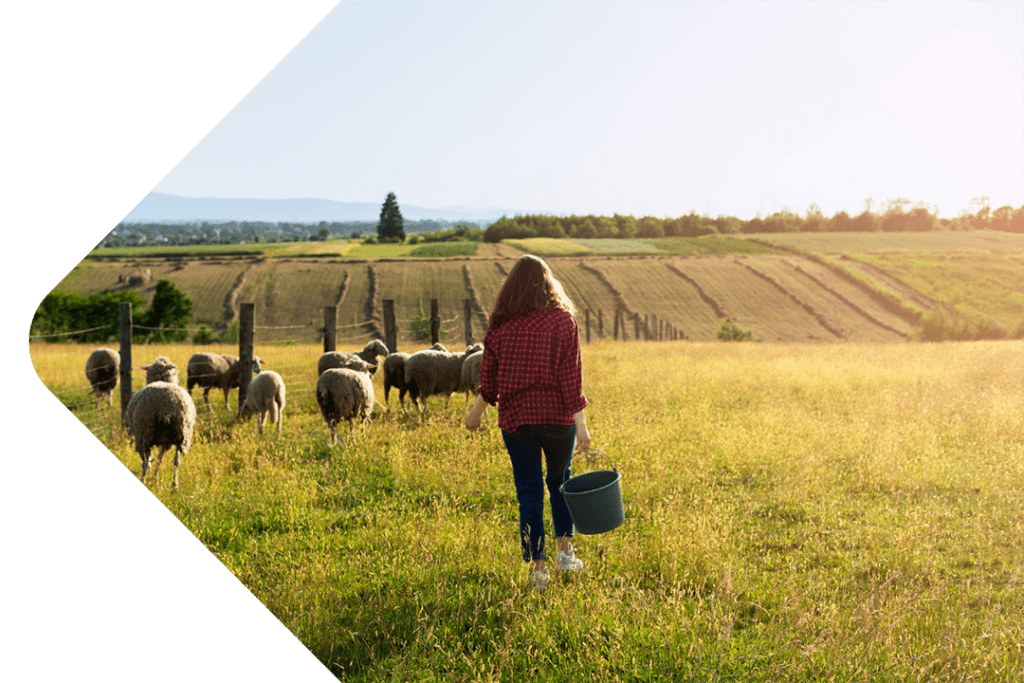 British Farming
