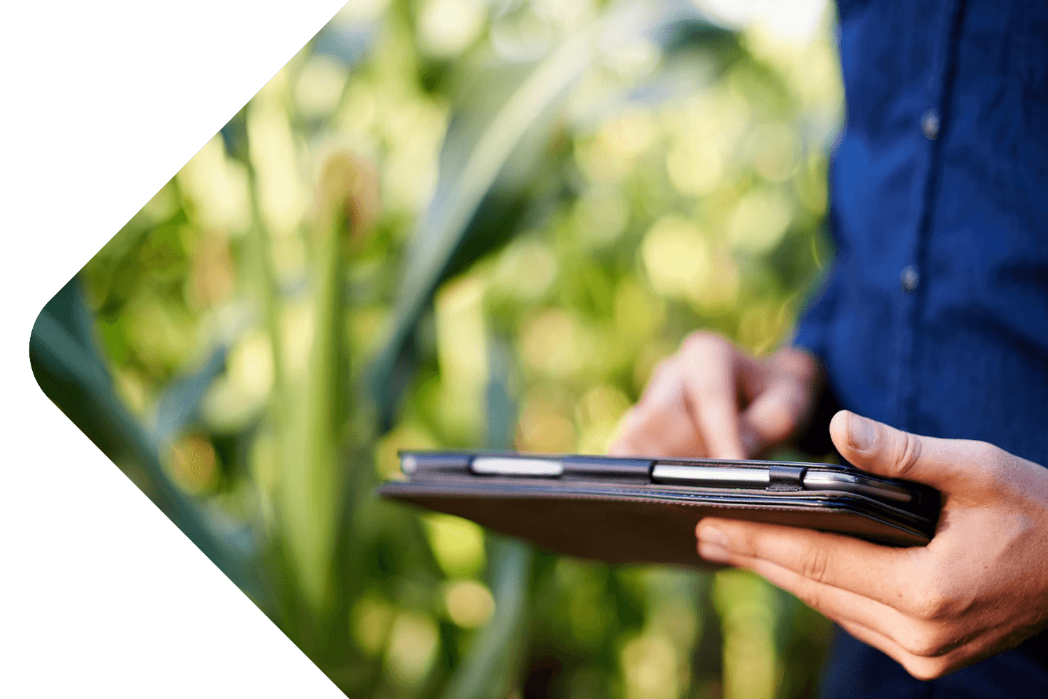 Farm Accounts: Are you making the most of your Management Information?